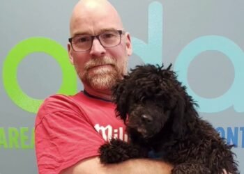 Pequeno Poodle é Eletrocutado