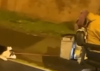 Mulher em Scooter Arrasta Cachorro Pela Rua